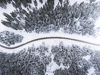Bird eye’s view!, by Kimon Maritz